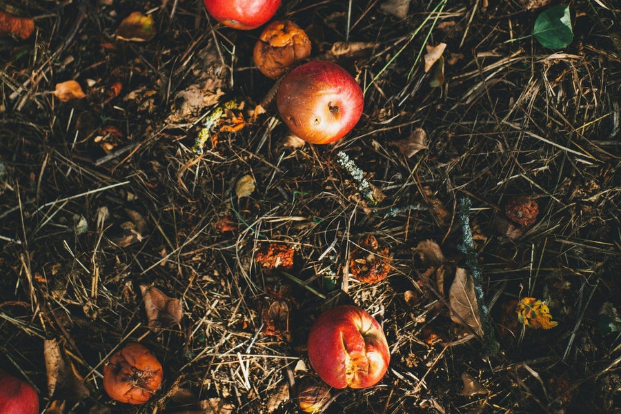 Composting Guide - Woven Wood