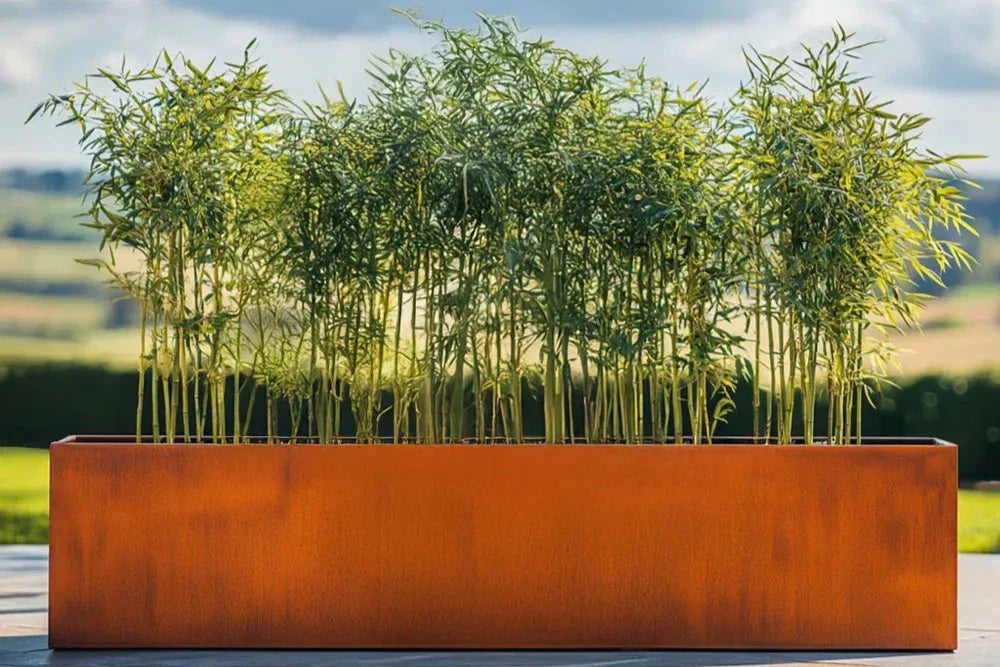Planting Bamboo in Planters: Stylish Screening and Natural Beauty  Woven  Wood