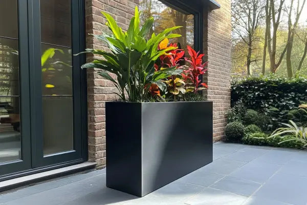 Long Tall Trough Planter