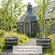 90cm Giant silver 3/4 Barrel Oak Tree Planter (Copy)