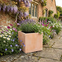 Rustic Terracotta Cube Planter