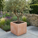Rustic Terracotta Cube Planter