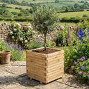 Wooden Pine Raised Cube Planter