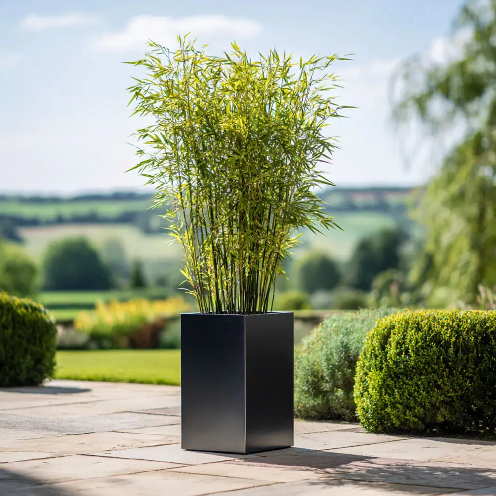 50cm Zinc Galvanised Matte Black Tall Square Planter – Woven Wood
