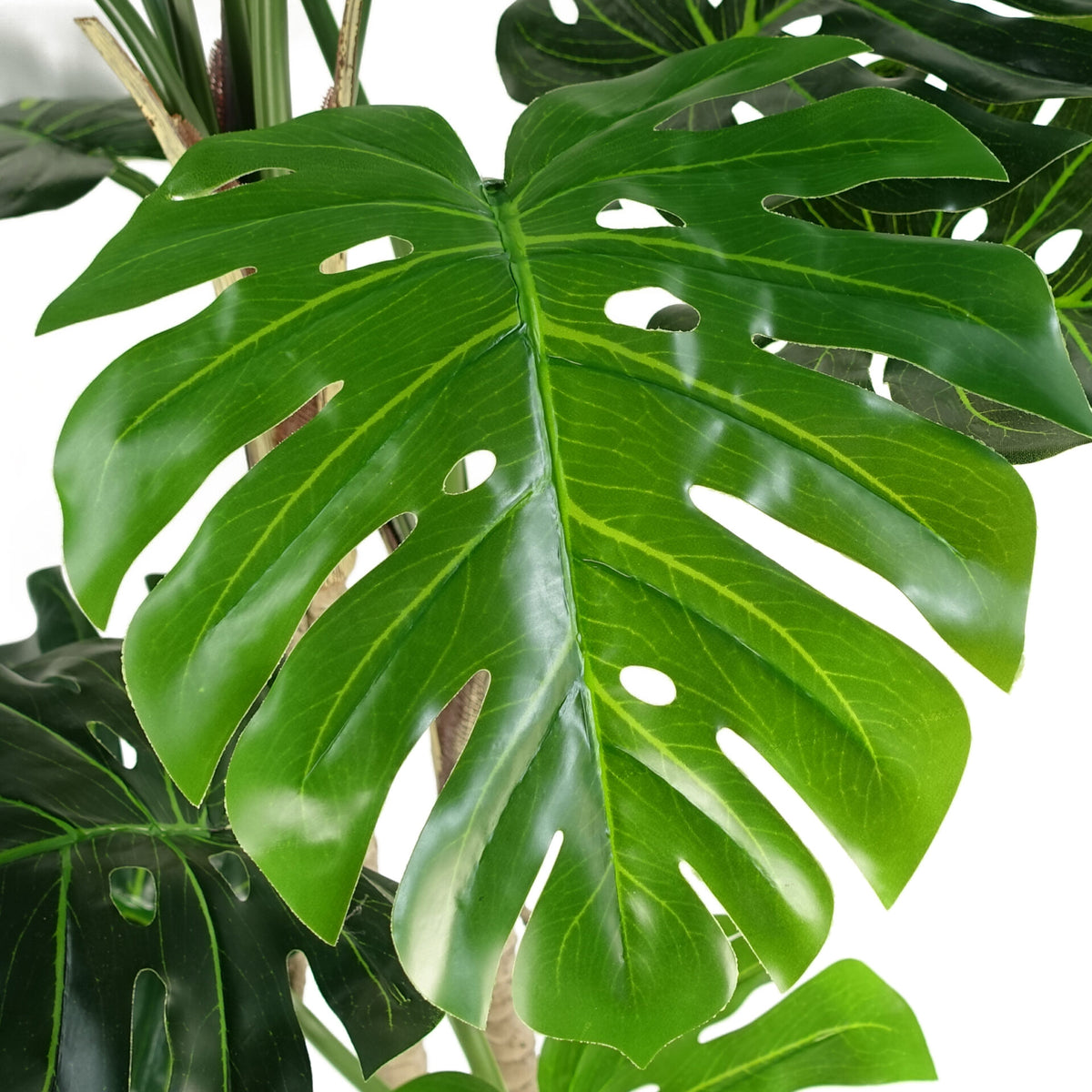 150cm Luxury Monstera Plant - Realistic, Black Pot main image 0