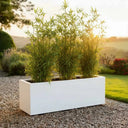 Zinc Galvanised Matte White Trough Planter
