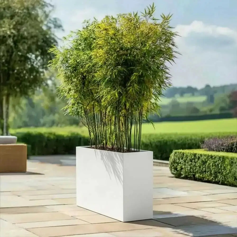 DRAW A LINE Moving Planter Rack Set ホワイト 80cm Long Zinc Galvanised Matte White 60cm Tall Trough Planter