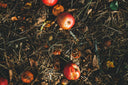 Composting Guide - Woven Wood