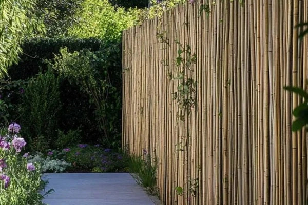 Bamboo Screening: Privacy and Beauty