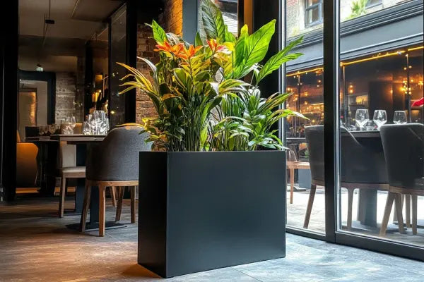 Zinc Planters and Urban Gardens