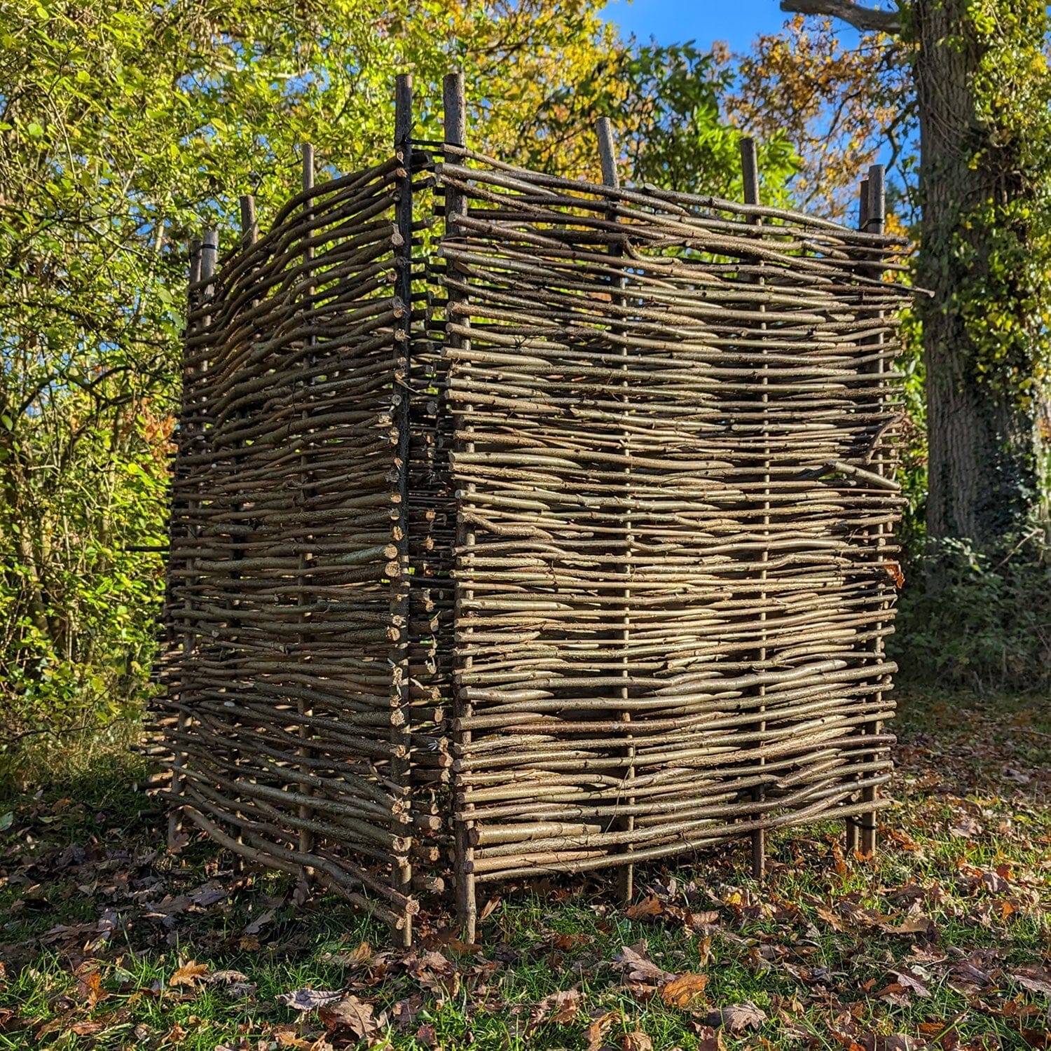 The Compost Bin - Turning Trash into Treasure