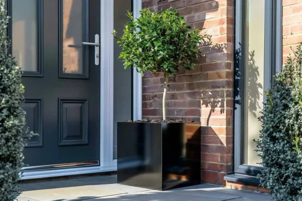 Square Planter in Porch