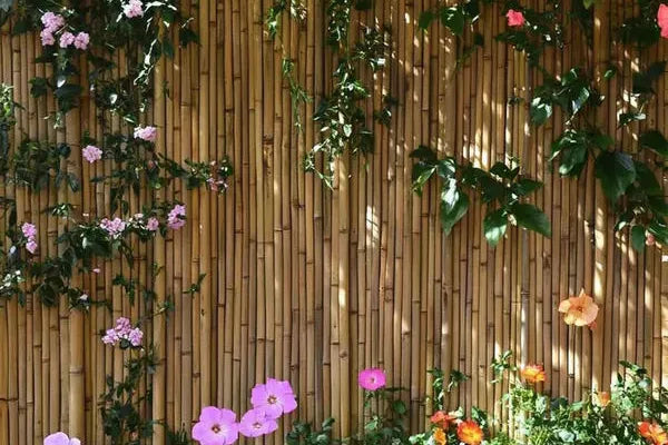 Natural Garden Screening: What Material Is Right For You?