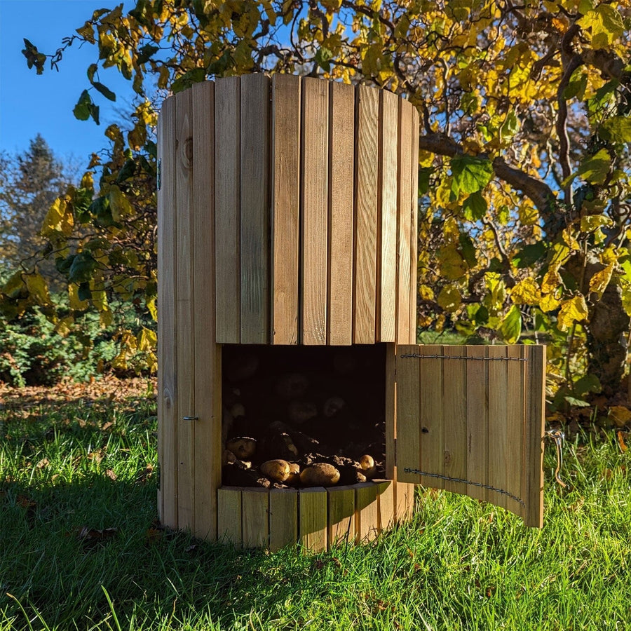 How to use a Potato Barrel to grow your own Potatoes