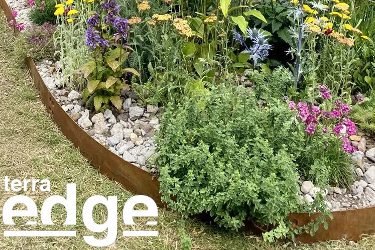 Introducing Terra Edge