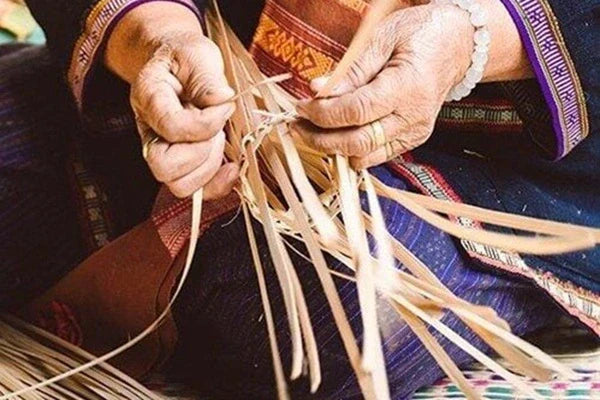Weaving Willow
