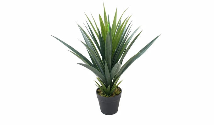 Artificial Plants
