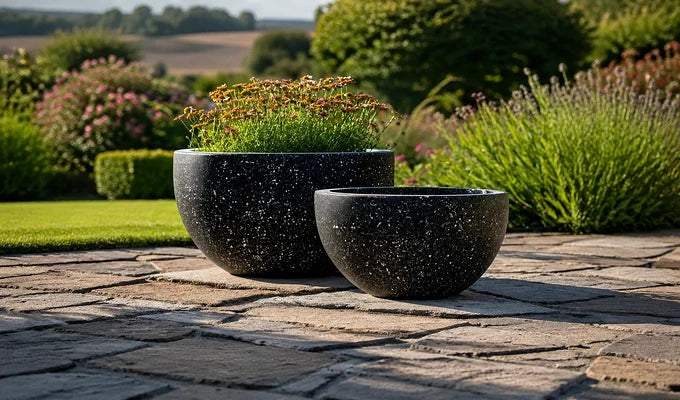 Bowl Planters