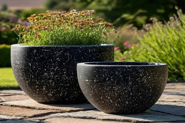 Bowl Planters