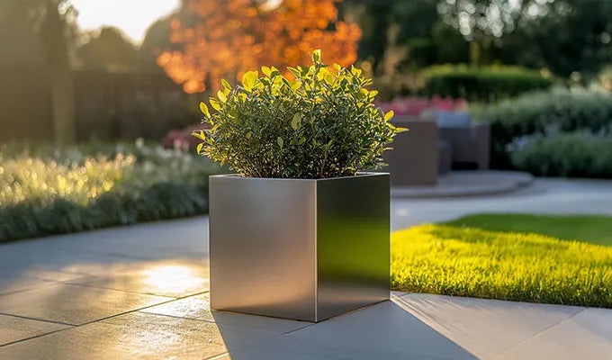 Extra Small Planters (10-40cm)