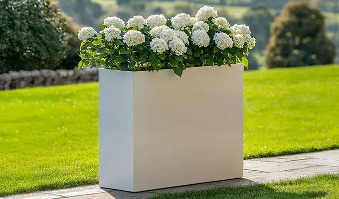 Large Planters (100-149cm)