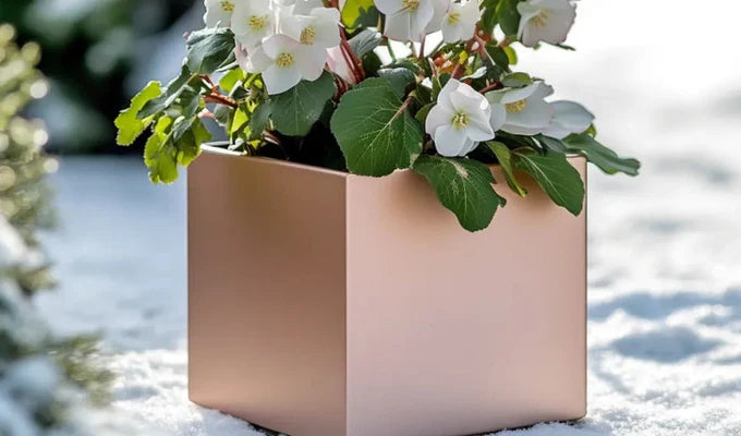 Christmas Gifts