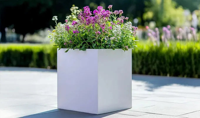 Square and Cube Planters