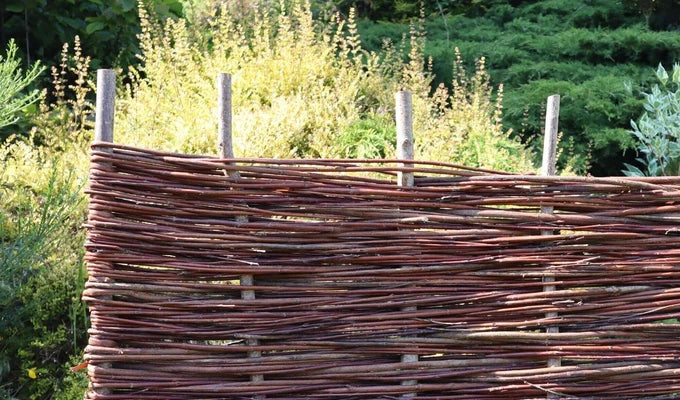 Willow Fencing