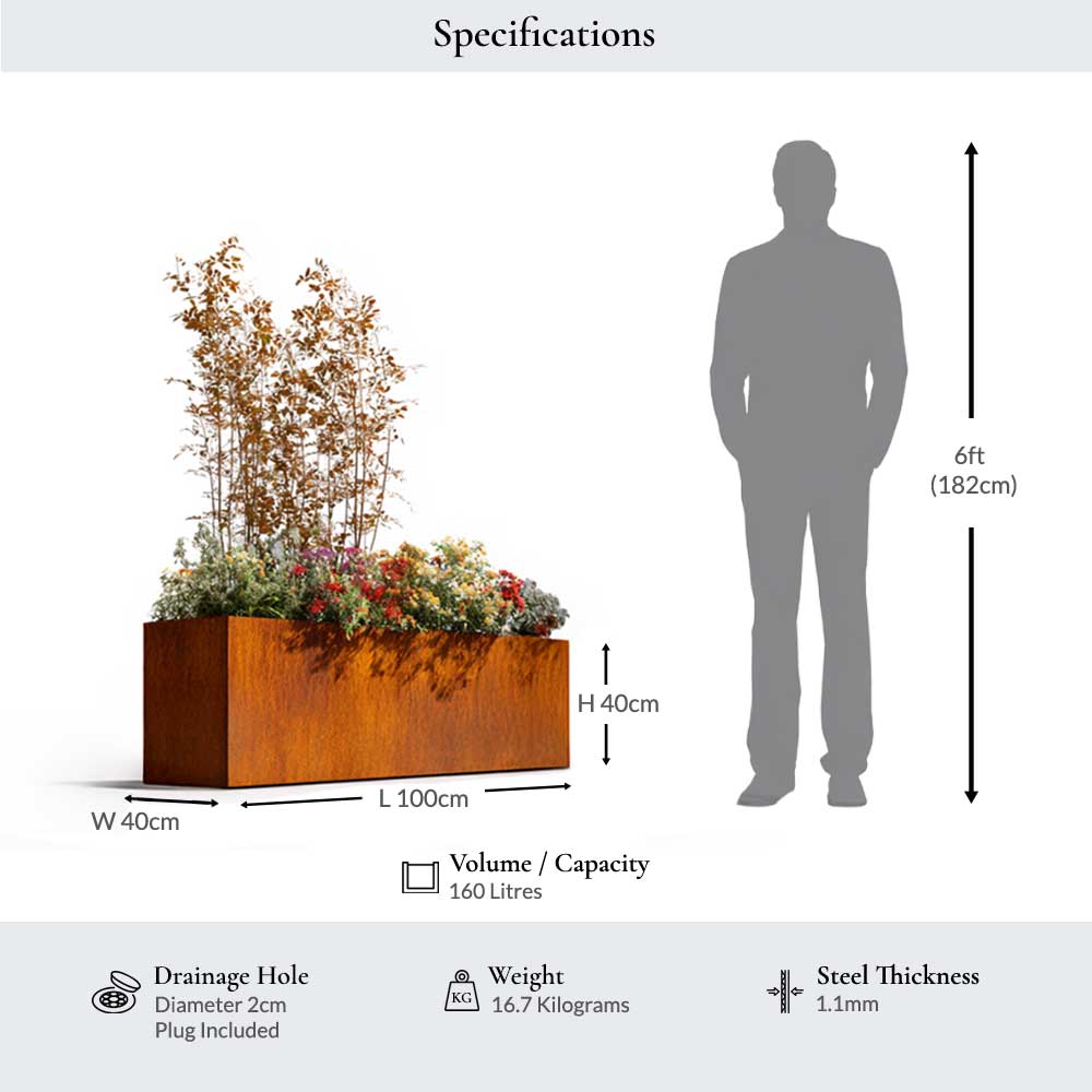 Rusty Corten planter with dimensions and a person for scale on a white background