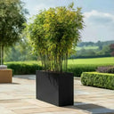 100cm Long Zinc Galvanised Matte Black 80cm Tall Trough Planter