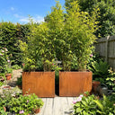 100cm Long Corten Steel 80cm Tall Trough Planter with Plate & Feet