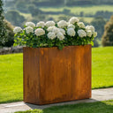 120cm Long Corten Steel 100cm Tall Trough Planter with Plate & Feet