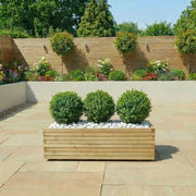 Pine Raised Wooden Trough Planter with Feet