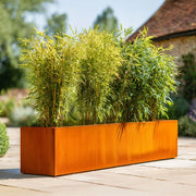Rectangular metal planter with green plants on a wooden deck
