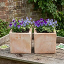 Rustic Terracotta Cube Planter