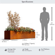 Rust-colored metal planter with plant life, dimensions, and a person for scale on a light gray background.
