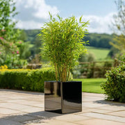 40cm Zinc Galvanised Polished Black Square Planter