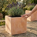 Rustic Terracotta Cube Planter