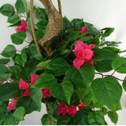 150cm Japanese Artificial Silk Bougainvillea Tree
