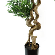 160cm Ruscus Double Twist Trunk Natural Look Japanese Tree