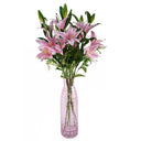 Pack of 6 x 100cm Large Pink Lily Stem - 18 Flowers