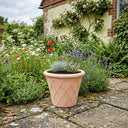 Rustic Terracotta Lattice Planter