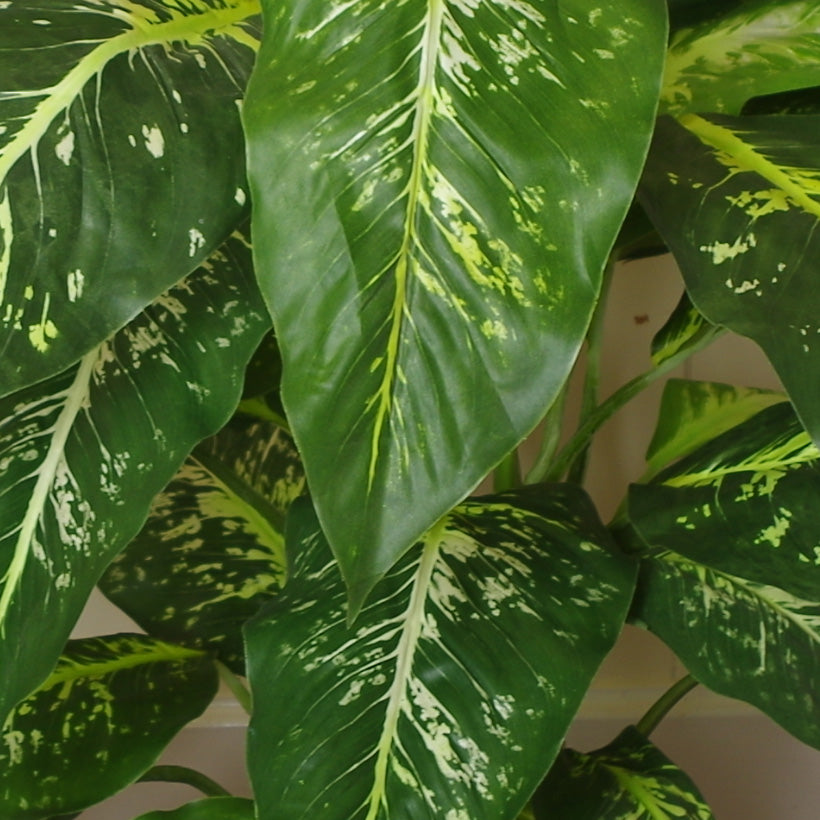 100cm Large Foxs Aglaonema (Spotted Evergreen) Tree Artificial Plant with Gold Metal Planter