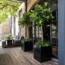 60cm Zinc Galvanised Polished Black Square Planter