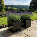 60cm Zinc Galvanised Polished Black Square Planter