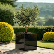 60cm Zinc Galvanised Polished Black Square Planter