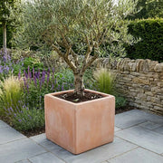 Rustic Terracotta Cube Planter