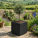 Wooden Pine Raised Cube Planter #50cm(L) x 50cm(W) x 50cm(H) #Black