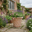 Rustic Terracotta Lattice Planter