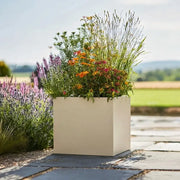 50cm Zinc Galvanised Cream Square Planter